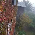Il Gatto Nero *