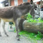 Bed & Breakfast Il Gatto Nero Castelveccana