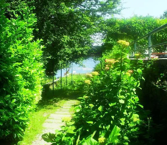 Bed & Breakfast Il Gatto Nero