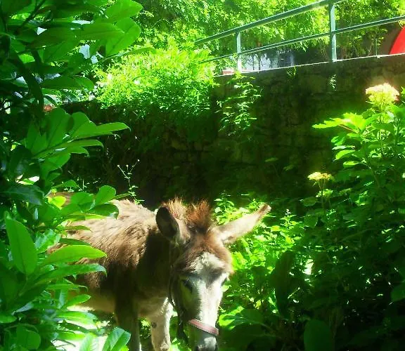 Bed & Breakfast Il Gatto Nero Castelveccana