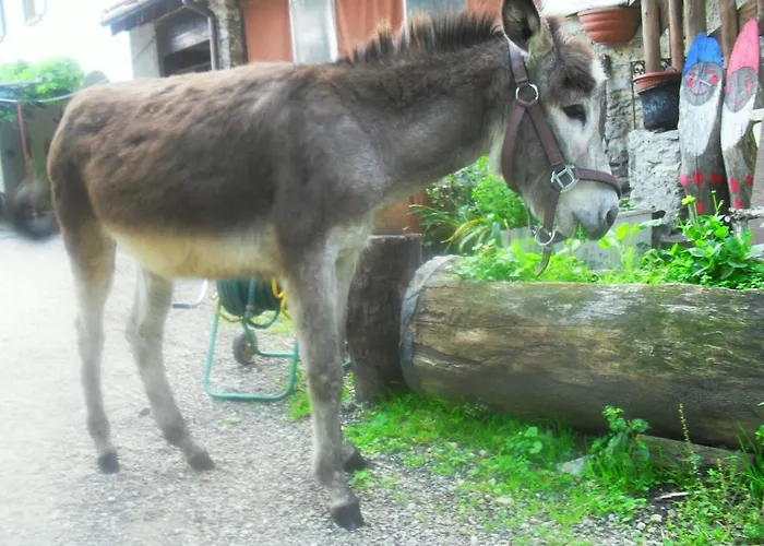 Bed & Breakfast Il Gatto Nero Castelveccana
