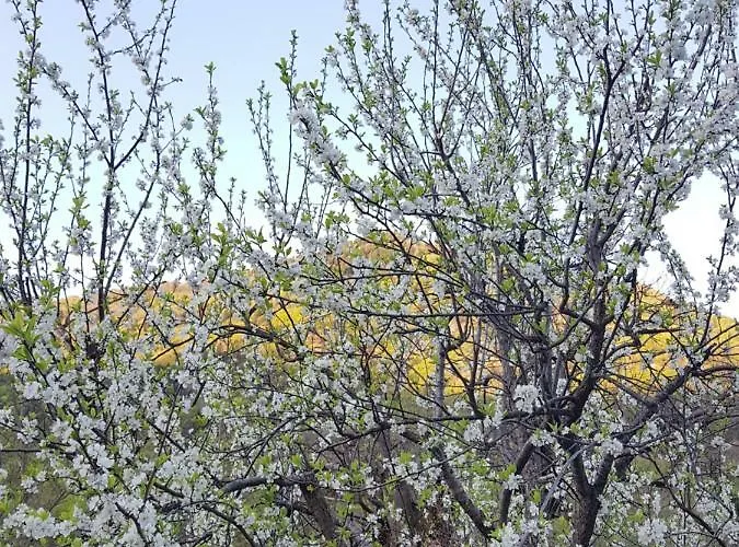 Il Gatto Nero Bed & Breakfast Castelveccana