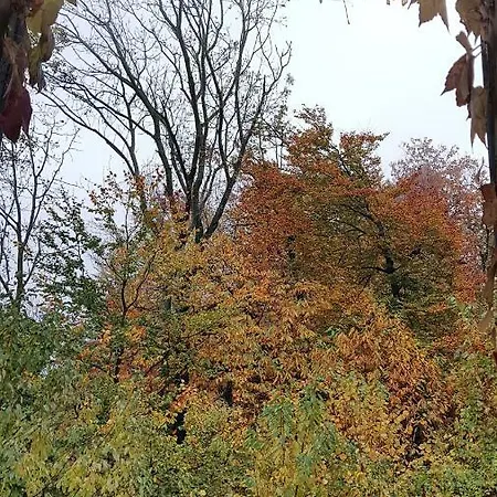 Il Gatto Nero Frühstückspension *