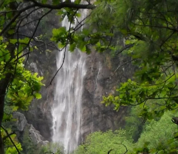 Il Gatto Nero Отель типа 