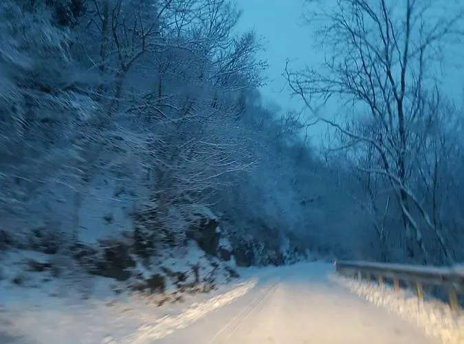 Il Gatto Nero 카스텔베카나