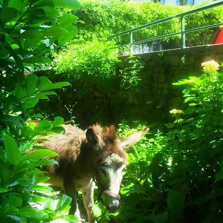 לינה וארוחת בוקר Il Gatto Nero Castelveccana