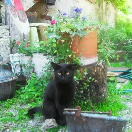 לינה וארוחת בוקר Il Gatto Nero