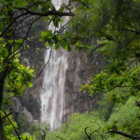 Il Gatto Nero לינה וארוחת בוקר *