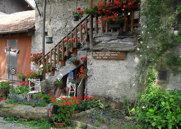 Bed and breakfast Il Gatto Nero *